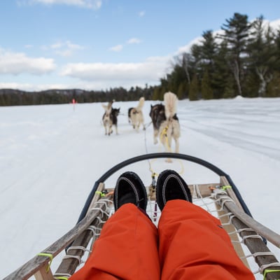 Traîneau à chiens traversant les paysages enneigés près du Spa Auberge du Lac Morency.
